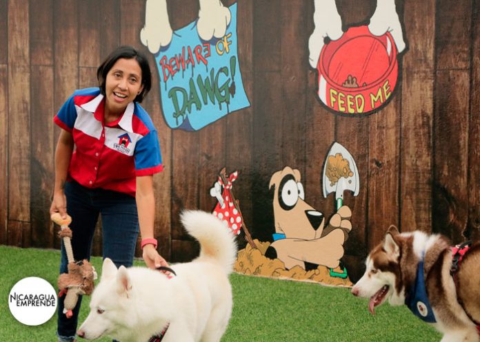 5 Dog House Nicolas´s, la peluquería canina cálida y amigable para todos