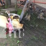 Vecinos evitaron que incendio consumiera una vivienda en Estelí Vecinos evitaron que incendio consumiera una vivienda en Estelí