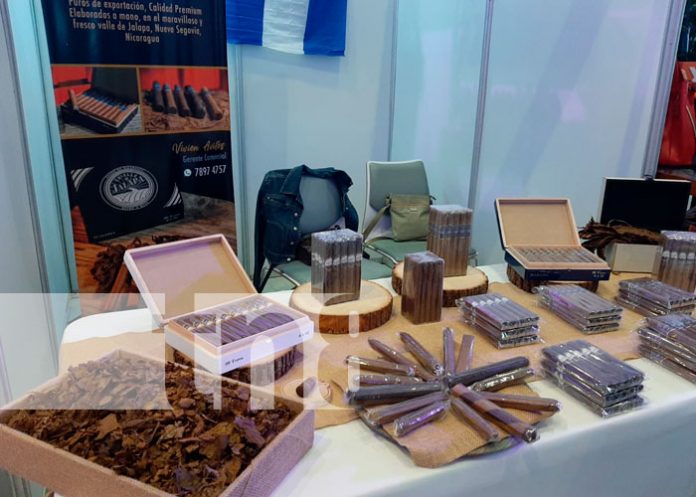 Familias disfrutaron en el segundo día de EXPOPYME en Managua