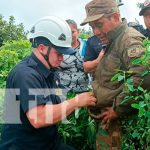 Al intentar rescatar a "Oso" cae a un barranco en El Crucero, Carazo