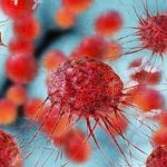 Novedoso estudio abre «nueva era» en la detección temprana del cáncer El propósito de la detección del cáncer