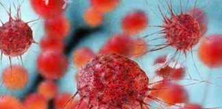 El propósito de la detección del cáncer