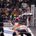 floyd, mayweather, Mikuru, Asakura, boxeo,