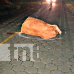Irresponsable conductor provoca accidente en Jalapa Irresponsable conductor provoca accidente en Jalapa