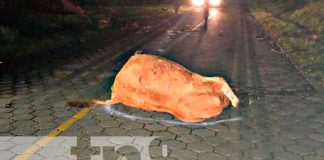 Irresponsable conductor provoca accidente en Jalapa