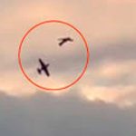¡Aterrador! En pleno vuelo dos avionetas chocaron en el cielo de Alemania ¡Aterrador! En pleno vuelo dos avionetas chocaron en el cielo de Alemania