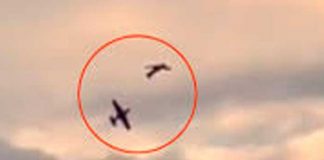 ¡Aterrador! En pleno vuelo dos avionetas chocaron en el cielo de Alemania