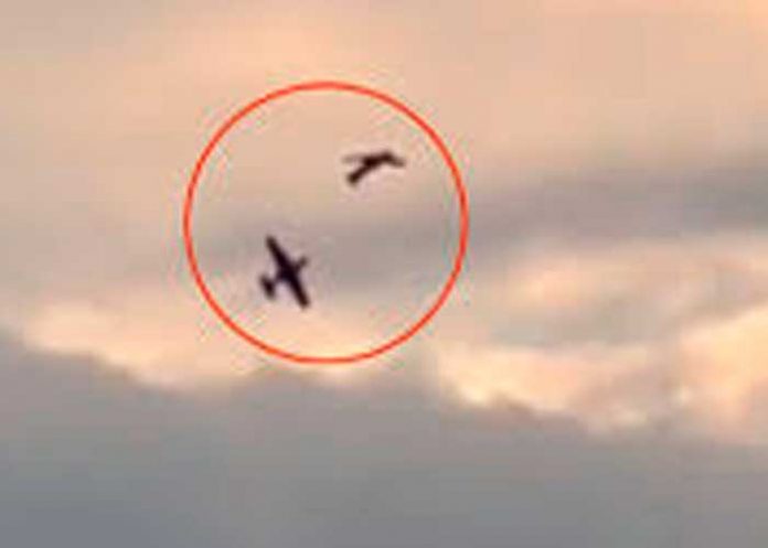 ¡Aterrador! En pleno vuelo dos avionetas chocaron en el cielo de Alemania