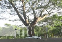 Trágico accidente cobra dos vidas en Estelí