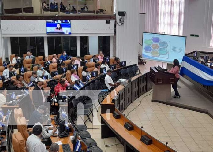 Asamblea Nacional va a reformar la Ley del INATEC en Nicaragua