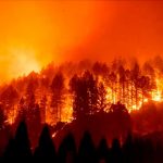 Incendios en California dejan cuatro muertos y miles de personas evacuadas