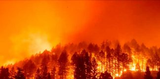Incendios en California dejan cuatro muertos y miles de personas evacuadas