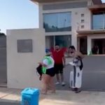 En España los sacan a palos limpios por descarados