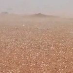 ¡De película! Impactante tormenta de granizo en el desierto de Dubái ¡De película! Impactante tormenta de granizo en el desierto de Dubái