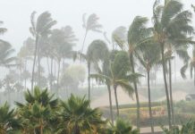 Tormenta tropical Kay amenaza a más de 10 estados en México