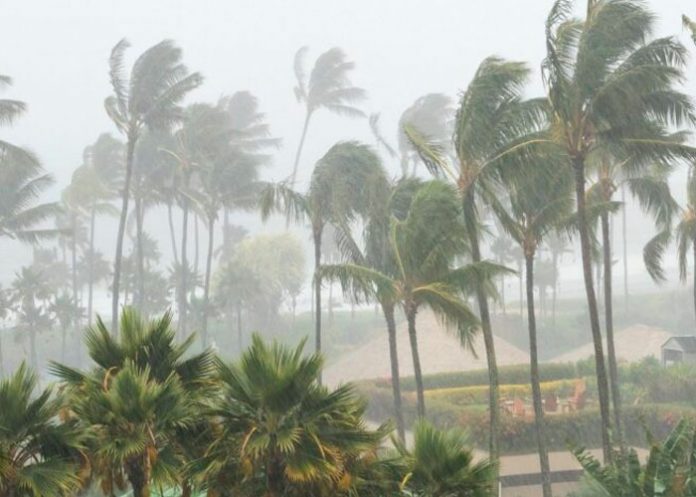 Tormenta tropical Kay amenaza a más de 10 estados en México