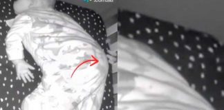 La mano del fantasma intentó tocar a la niña Wren