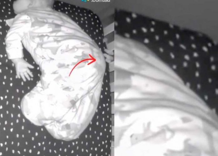 La mano del fantasma intentó tocar a la niña Wren