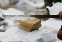 Incautación de cocaína registra fuerte alza en Francia Incautación de cocaína registra fuerte alza en Francia