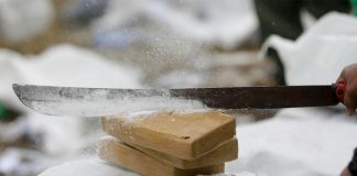 Incautación de cocaína registra fuerte alza en Francia