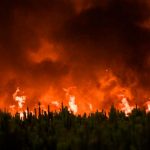 Centenares de personas evacuadas en Francia por «monstruoso» incendio Centenares de personas evacuadas en Francia por "monstruoso" incendio