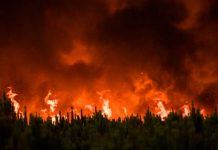 Centenares de personas evacuadas en Francia por «monstruoso» incendio Centenares de personas evacuadas en Francia por "monstruoso" incendio
