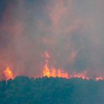 Al menos 48 personas arrestadas en Francia por ocasionar incendios