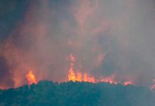 Al menos 48 personas arrestadas en Francia por ocasionar incendios