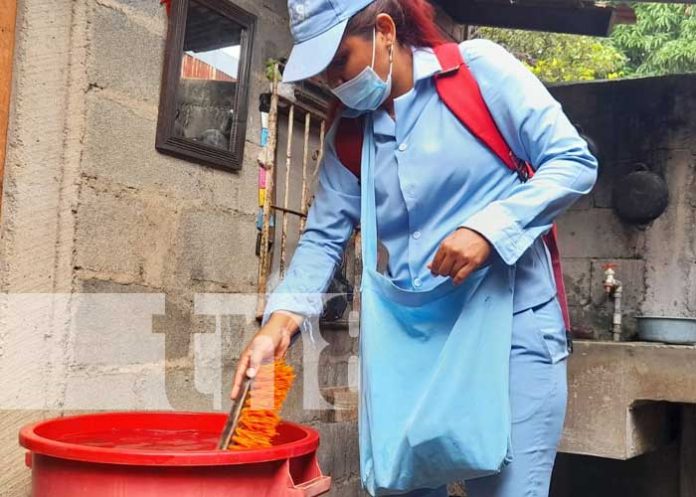 Aplicación de BTI para prevención de zancudos en Managua