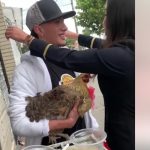 Se hizo viral por dar a su novia una gallina