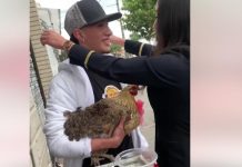 Se hizo viral por dar a su novia una gallina