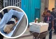 Video digno de aplaudir: Despiden a perrito callejero con banda y misa Despiden a perrito callejero con banda y misa