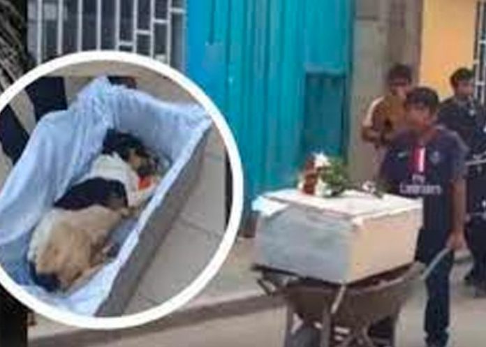 hay1 Despiden a perrito callejero con banda y misa