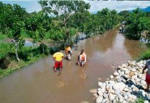 Varios municipios al norte de Honduras bajo alerta roja por crecida de río Varios municipios al norte de Honduras bajo alerta roja por crecida de ríos