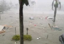 Poderoso huracán Ian causa estragos apocalípticos en Florida (Fotos y Video) Poderoso huracán Ian causa estragos apocalípticos en Florida (Fotos y Video)