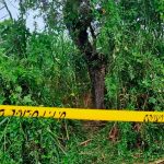 ¡Aberrante! Violan, matan y cuelgan de un árbol a dos hermanas en la India