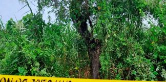 ¡Aberrante! Violan, matan y cuelgan de un árbol a dos hermanas en la India