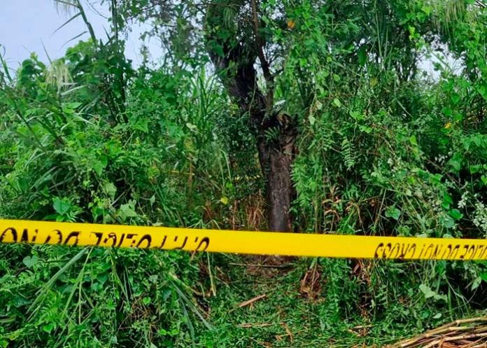 india1 ¡Aberrante! Violan, matan y cuelgan de un árbol a dos hermanas en la India