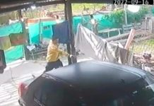 Terror en Argentina: Padre e hijo asesinan brutalmente a su cuñado Detienen a un padre y a su hijo por matar en Argentina