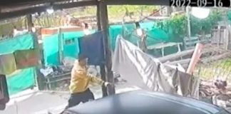 Detienen a un padre y a su hijo por matar en Argentina
