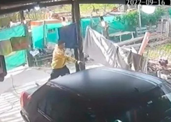 malo Detienen a un padre y a su hijo por matar en Argentina