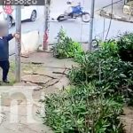 Cámaras captan a irresponsable que atropella a motociclista en Managua Cámaras captan a irresponsable que atropella a motociclista en Managua