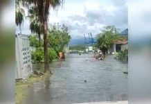 Tras el potente terremoto, confirman «leve tsunami» en Manzanillo, México Tras el terremoto que sacudió México, confirman "leve tsunami" en Manzanillo