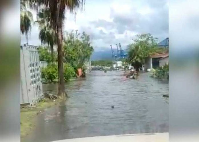 Tras el terremoto que sacudió México, confirman 