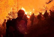 Espeso humo de incendio forestal "se traga" a Oregon, Estados Unidos