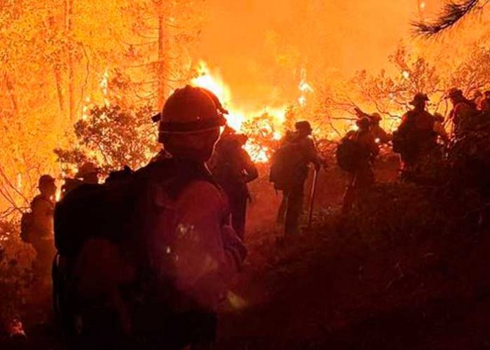 Espeso humo de incendio forestal 