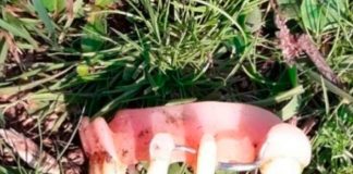 Desconocido entró a un corral de ovejas