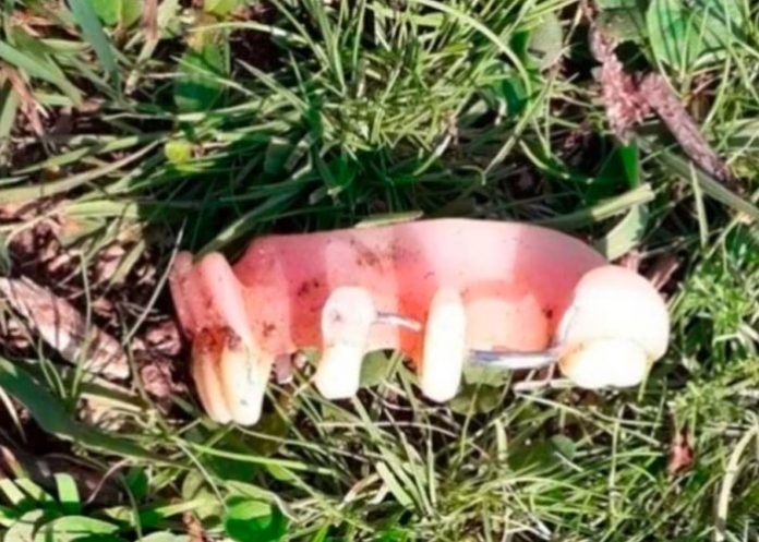 Desconocido entró a un corral de ovejas