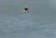 Pareja tiene sexo en playa de Colombia