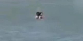 Pareja tiene sexo en playa de Colombia